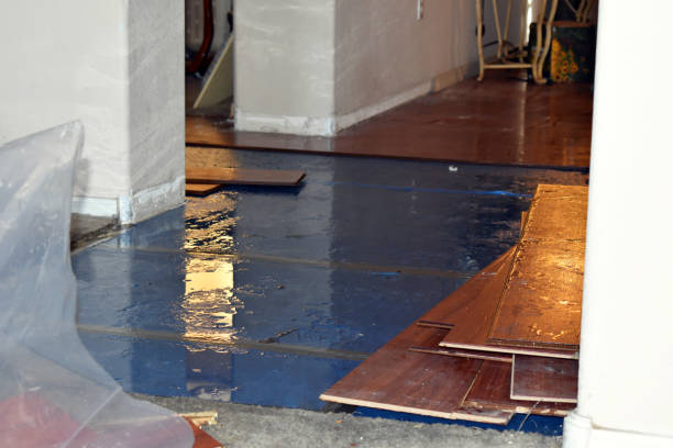 Professional Water Damage Restoration technician working in Olga, WA